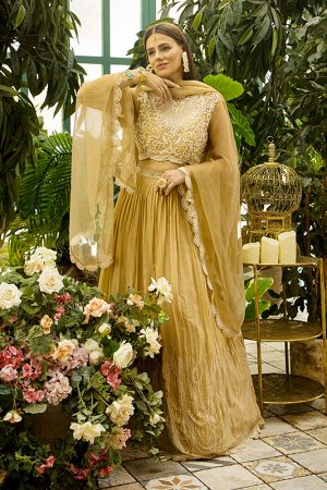 Комплект<br>Лехенга Аари